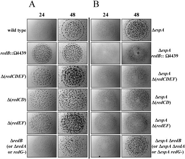 FIG. 3.