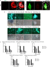 FIG 3