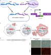 FIG 1