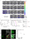 FIG 4