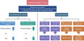 graphic file with name JCLA-36-e24643-g006.jpg
