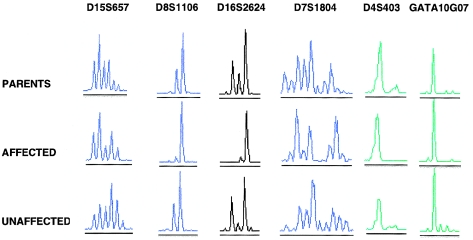 Figure  2