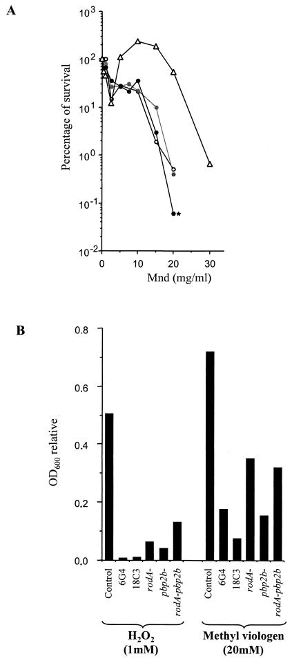 FIG.4.