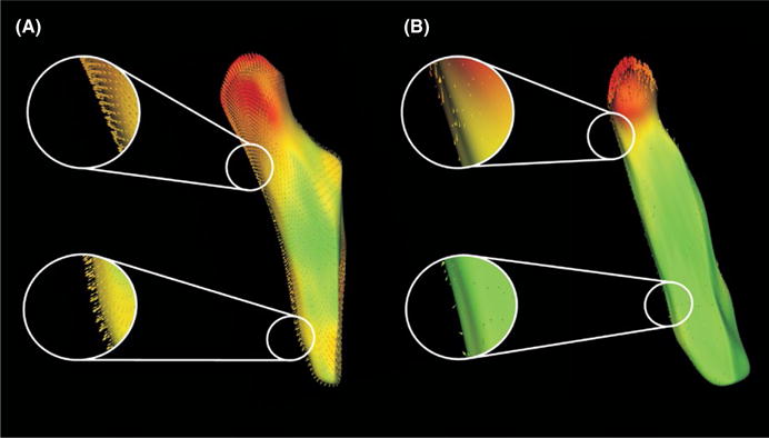 FIGURE 3