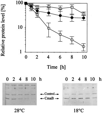 FIG. 7