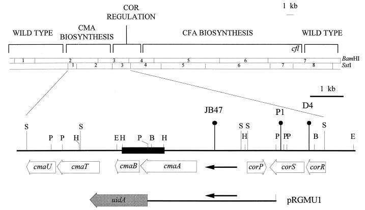 FIG. 1