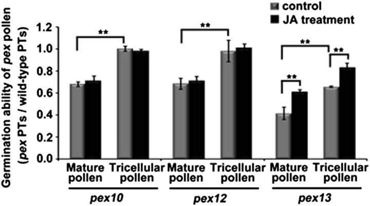 Figure 10.