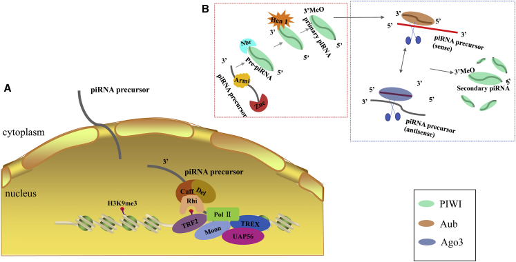 Figure 2