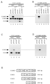 FIG. 8