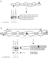 FIG. 10