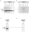 FIG. 9