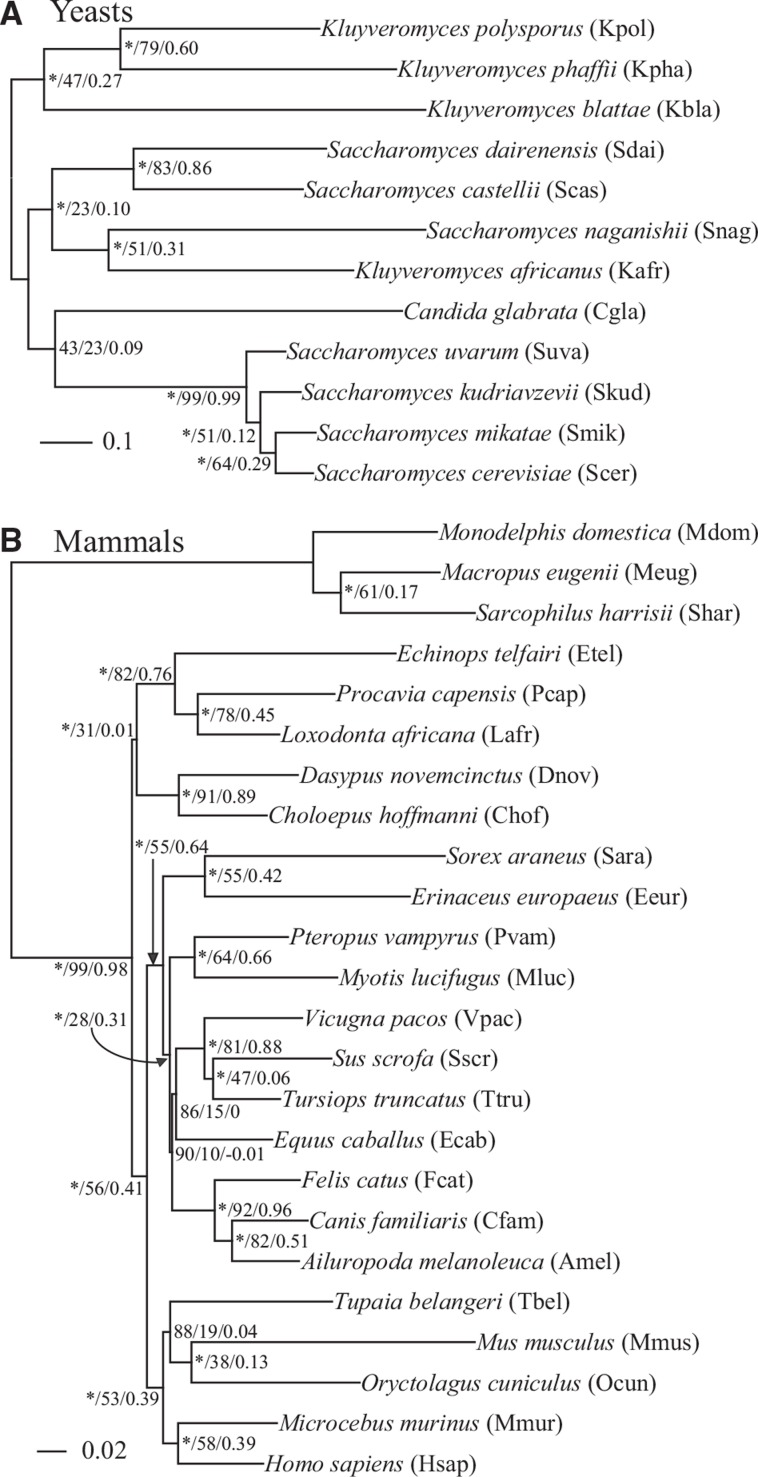 Fig. 1.—