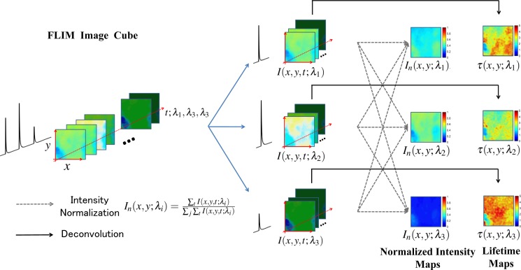 Fig. 3: