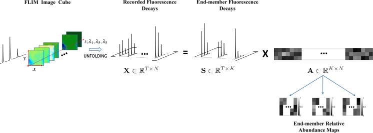 Fig. 4: