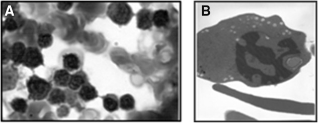 Fig. 1