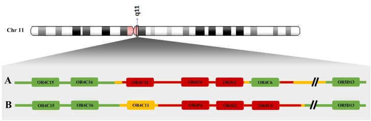 Fig. 2