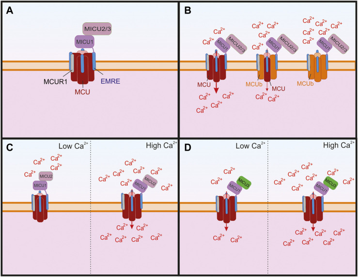 FIGURE 2