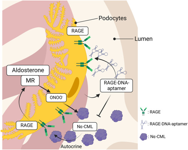 FIGURE 3