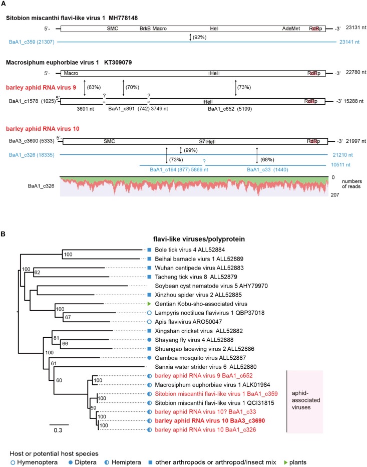 FIGURE 4