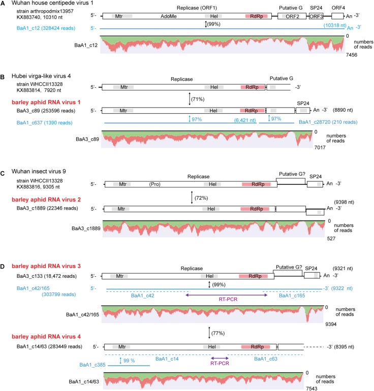 FIGURE 2