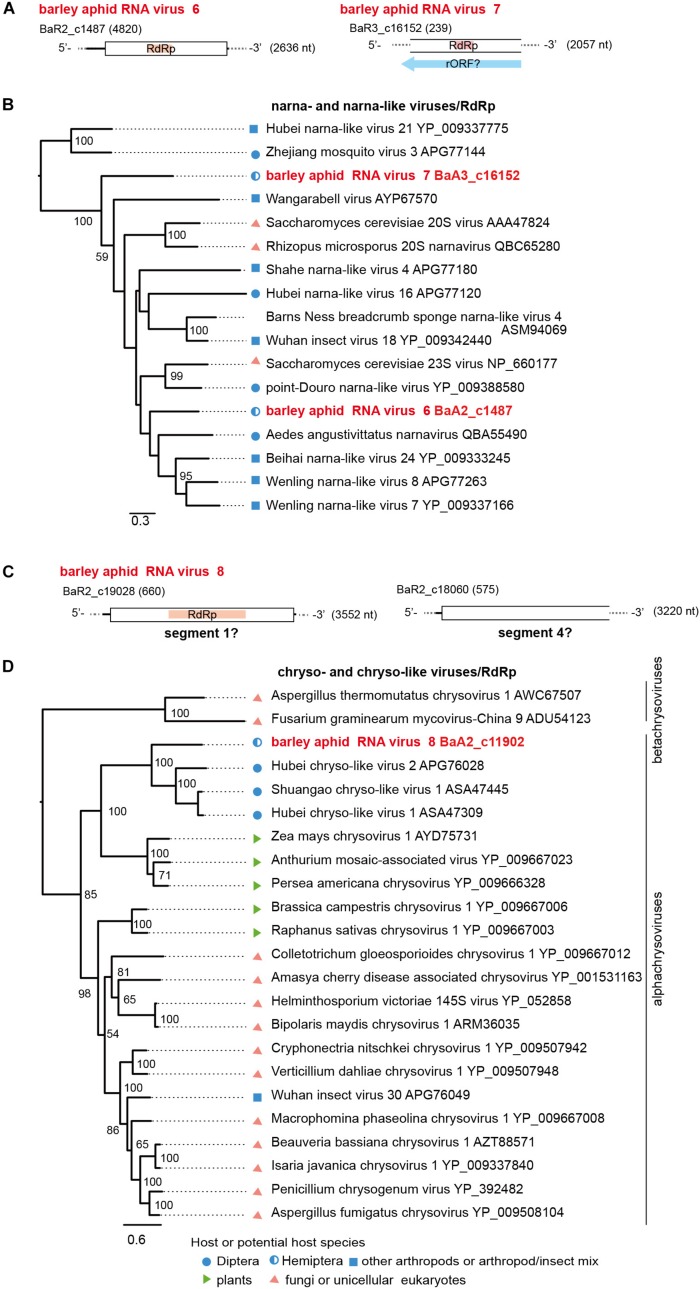 FIGURE 6