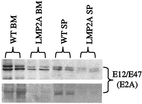 FIG. 5.