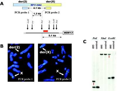 Figure  3. 