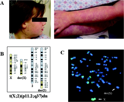 Figure  1. 