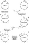 FIG. 1.