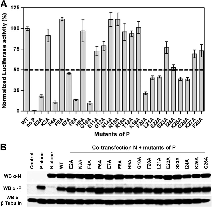 FIG 4