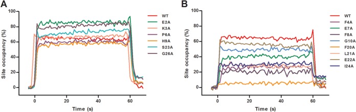 FIG 6