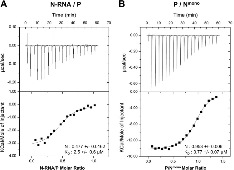 FIG 2