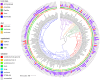 FIG 1