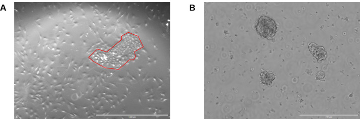 Figure 5.