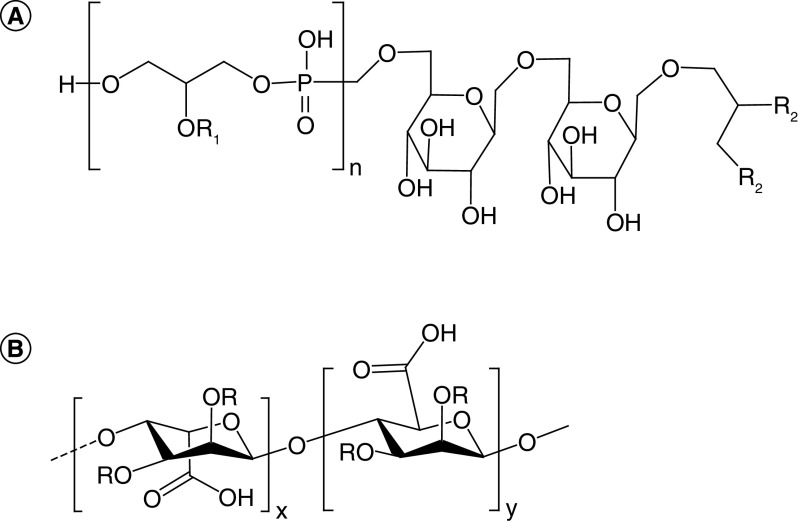 Figure 4. 