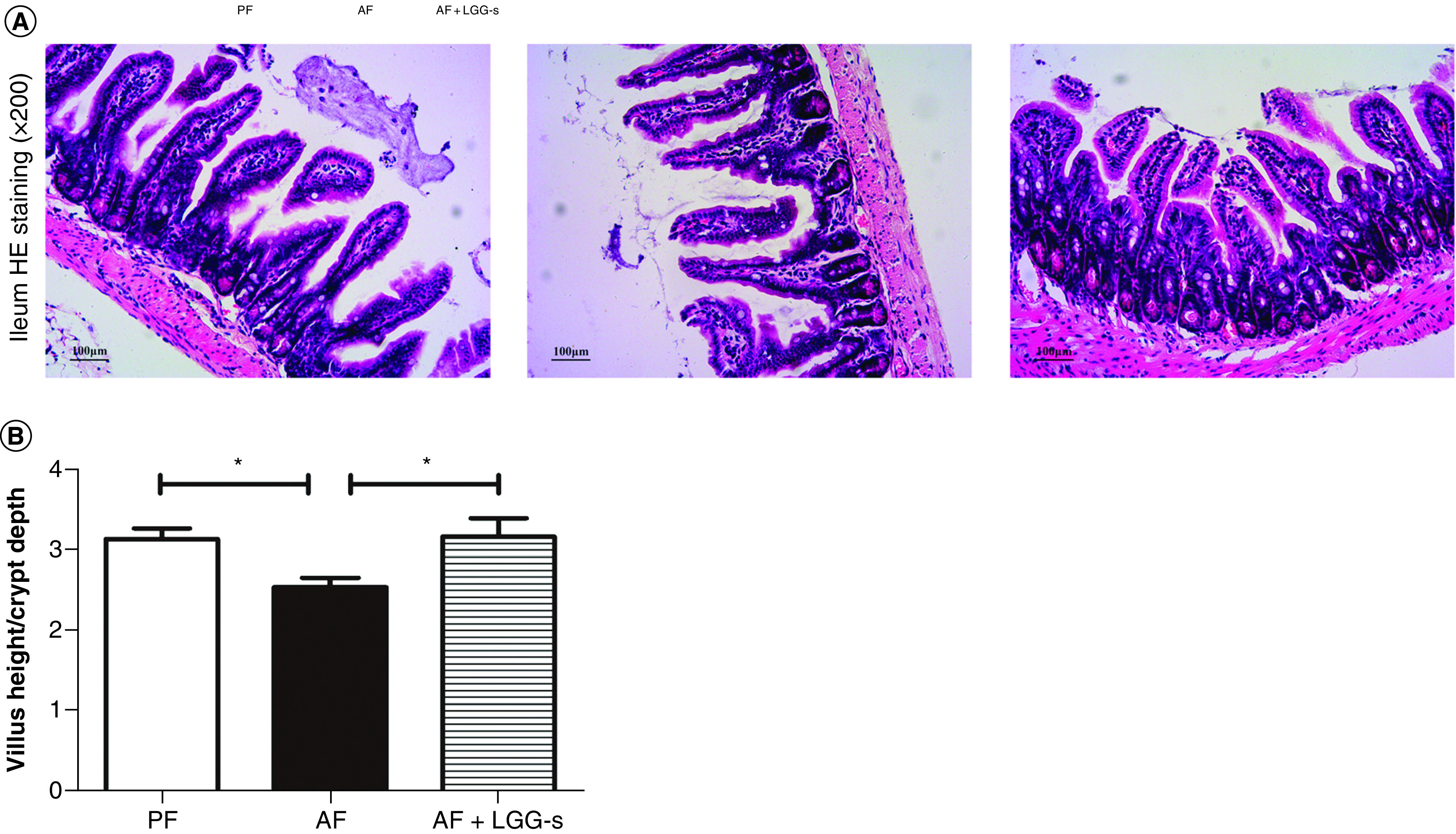 Figure 3. 