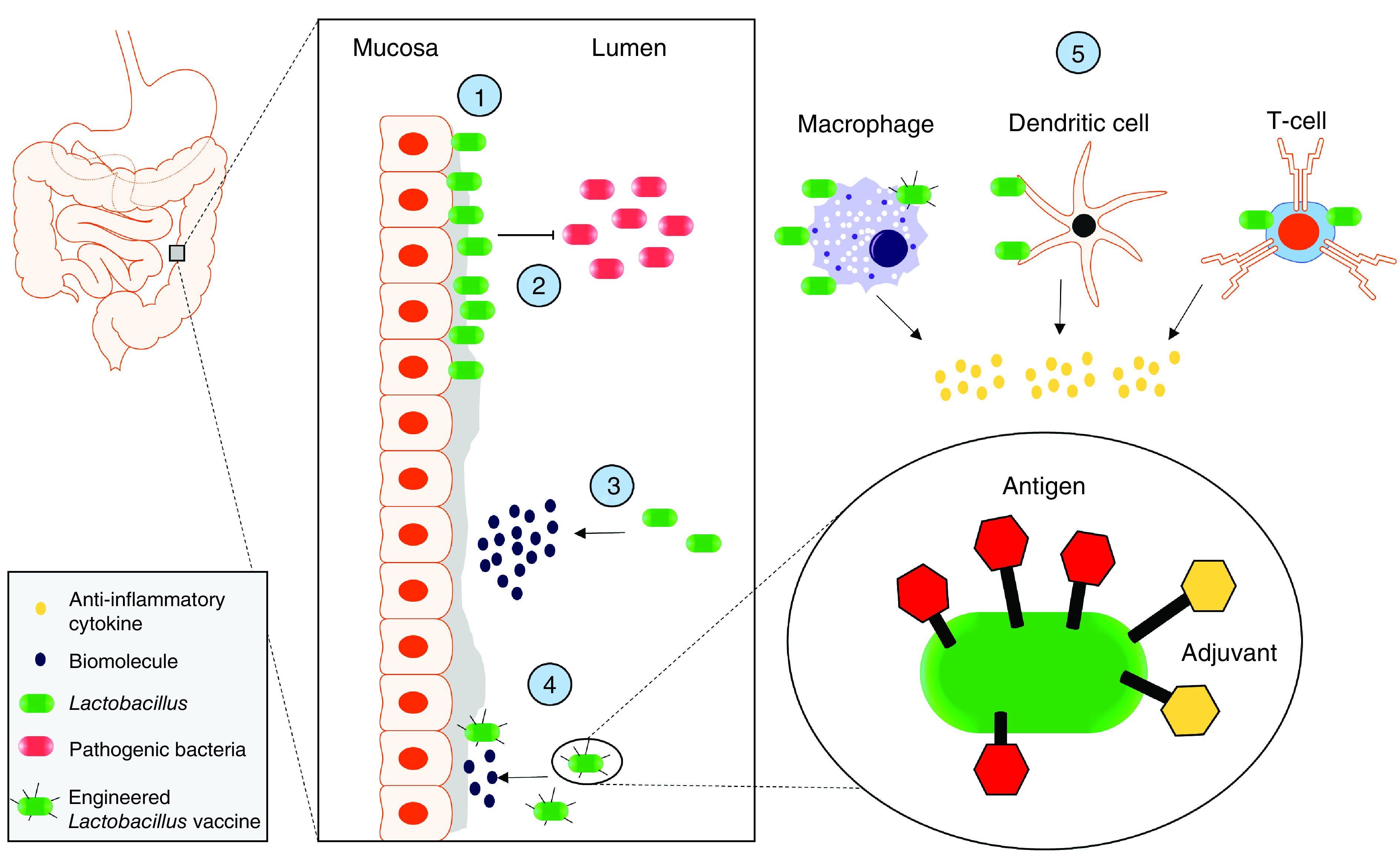 Figure 1. 