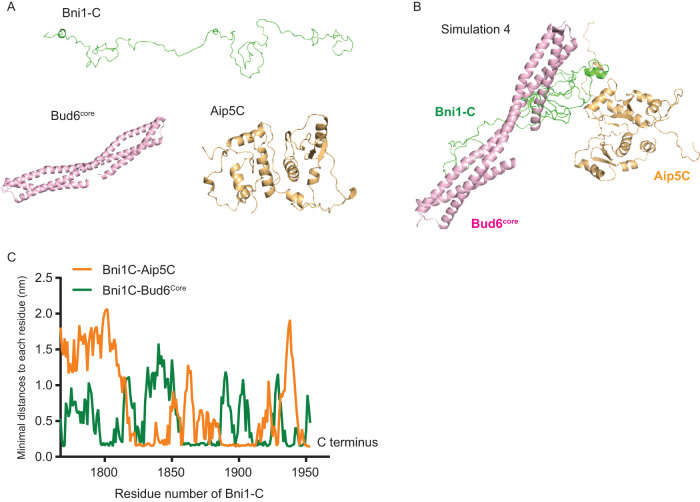 FIGURE 3: