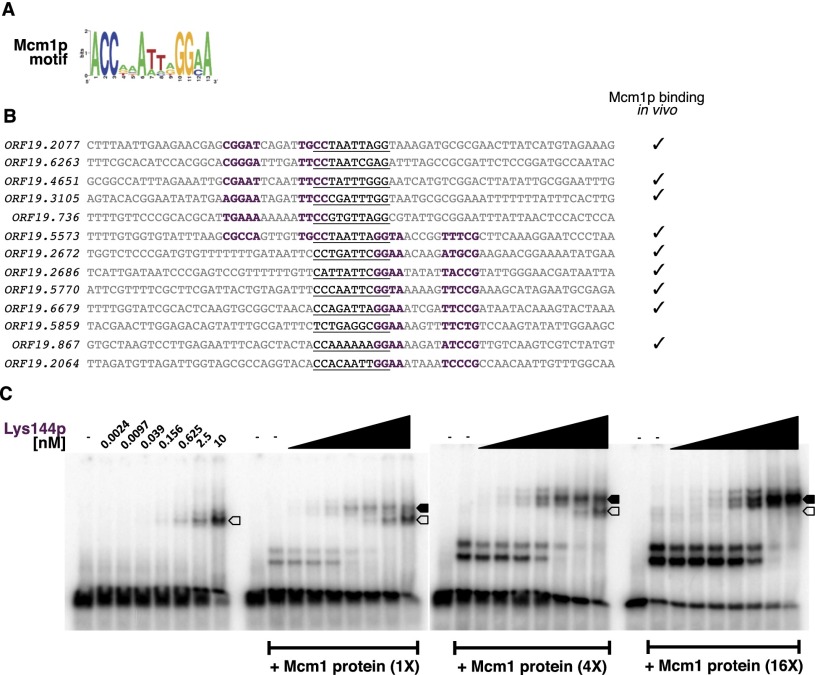 Figure 4.