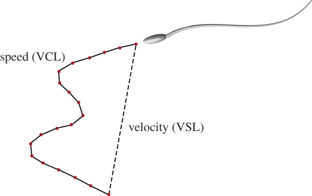 Figure 2.