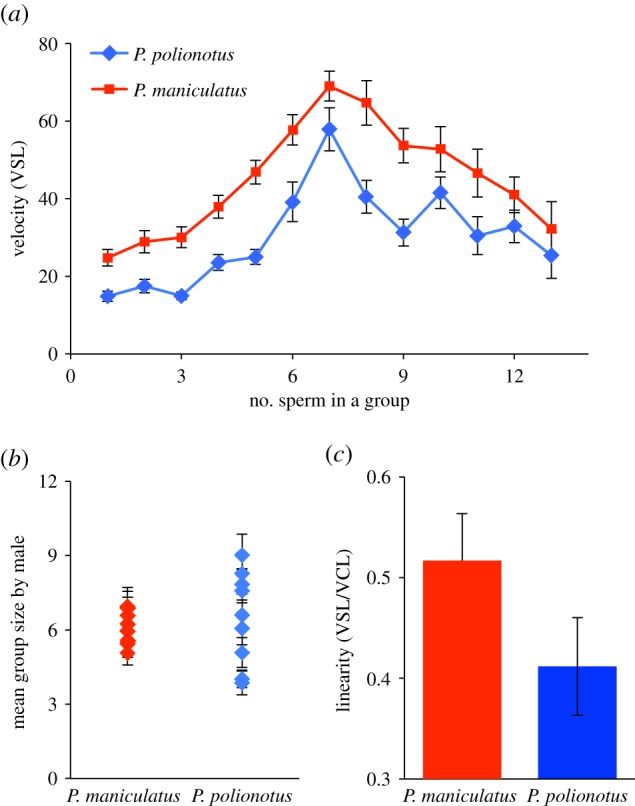 Figure 4.