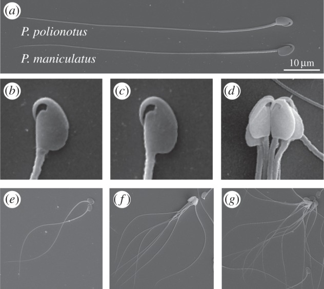 Figure 1.