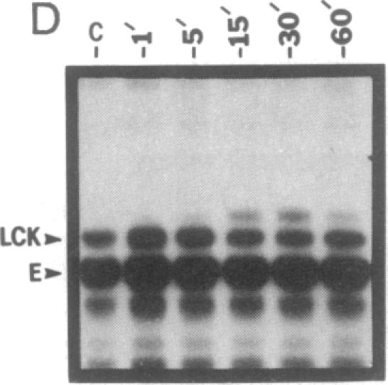 graphic file with name pnas01055-0415-e.jpg