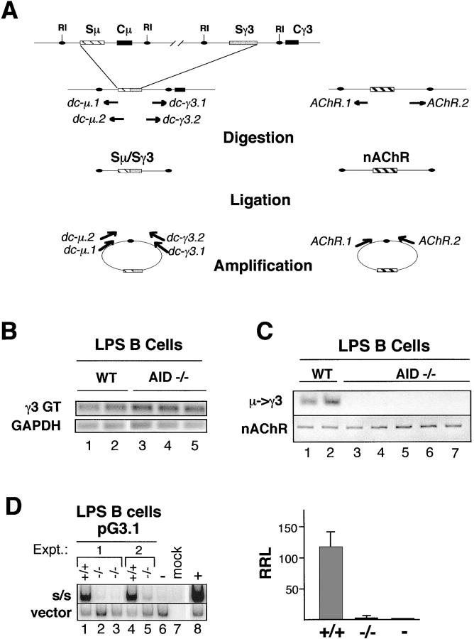 Figure 1.