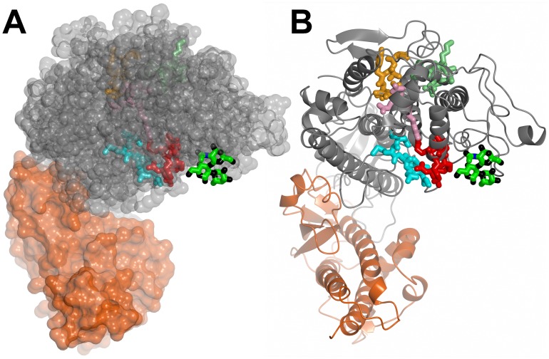 Figure 10