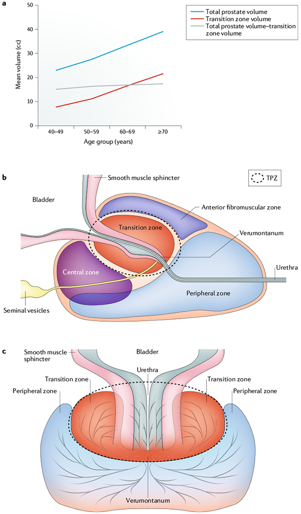 Fig. 1 |