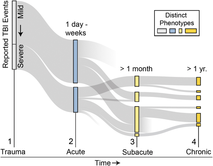 FIG. 1.