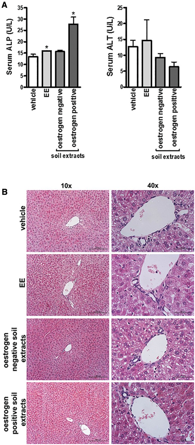 FIG. 7