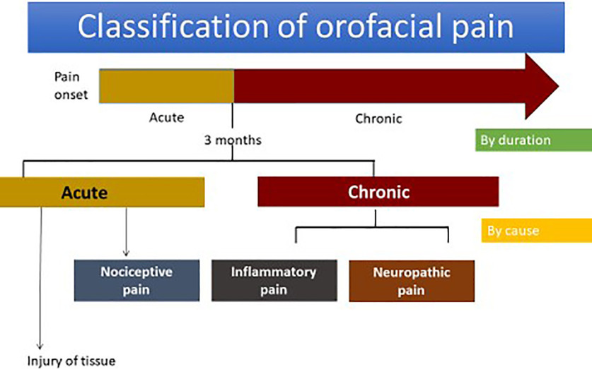 Review of Literatures: Physiology of Orofacial Pain in Dentistry - PMC