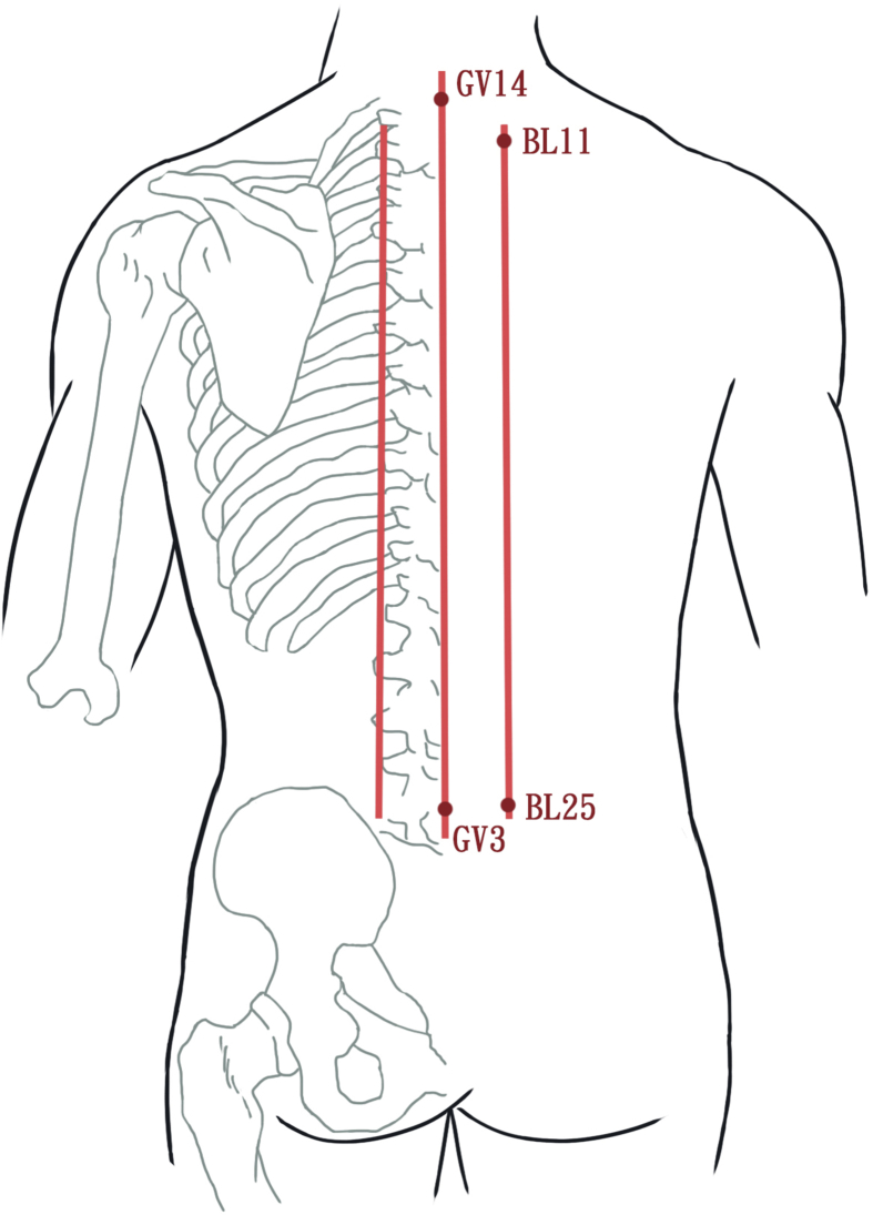 Fig. 2
